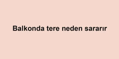 Balkonda tere neden sararır