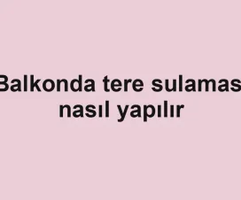 Balkonda tere sulaması nasıl yapılır