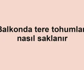 Balkonda tere tohumları nasıl saklanır