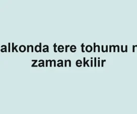 Balkonda tere tohumu ne zaman ekilir