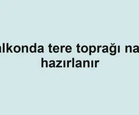 Balkonda tere toprağı nasıl hazırlanır