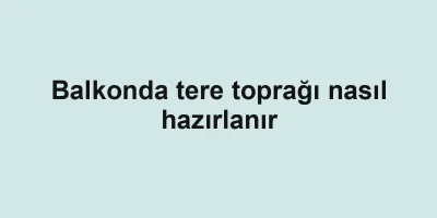 Balkonda tere toprağı nasıl hazırlanır