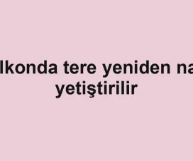 Balkonda tere yeniden nasıl yetiştirilir