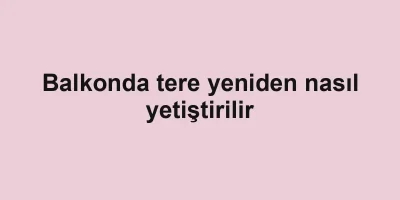 Balkonda tere yeniden nasıl yetiştirilir
