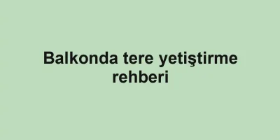 Balkonda tere yetiştirme rehberi