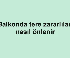 Balkonda tere zararlıları nasıl önlenir