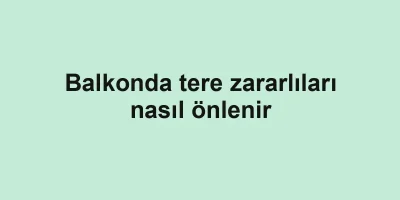 Balkonda tere zararlıları nasıl önlenir