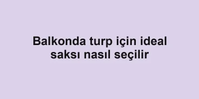 Balkonda turp için ideal saksı nasıl seçilir