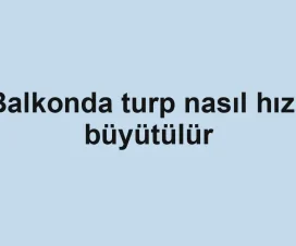 Balkonda turp nasıl hızlı büyütülür