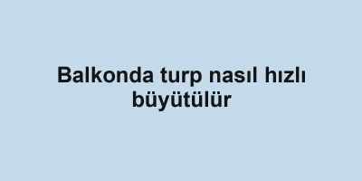 Balkonda turp nasıl hızlı büyütülür