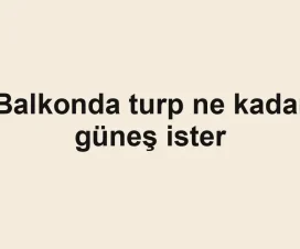 Balkonda turp ne kadar güneş ister