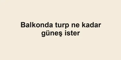 Balkonda turp ne kadar güneş ister