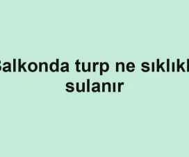 Balkonda turp ne sıklıkla sulanır