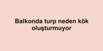 Balkonda turp neden kök oluşturmuyor