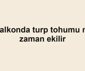 Balkonda turp tohumu ne zaman ekilir