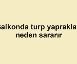 Balkonda turp yaprakları neden sararır