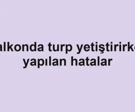 Balkonda turp yetiştirirken yapılan hatalar