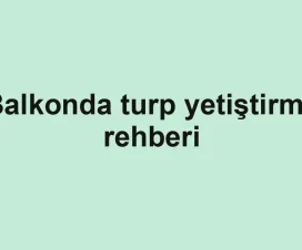Balkonda turp yetiştirme rehberi