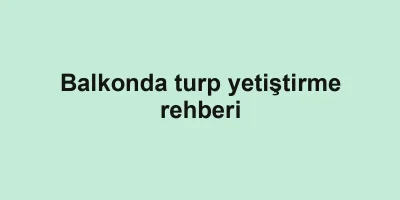 Balkonda turp yetiştirme rehberi