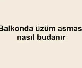Balkonda üzüm asması nasıl budanır