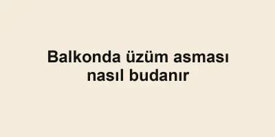 Balkonda üzüm asması nasıl budanır