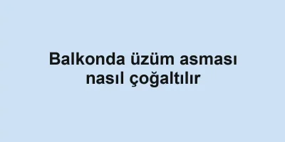 Balkonda üzüm asması nasıl çoğaltılır