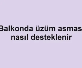 Balkonda üzüm asması nasıl desteklenir