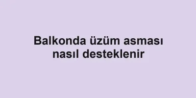 Balkonda üzüm asması nasıl desteklenir