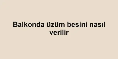 Balkonda üzüm besini nasıl verilir