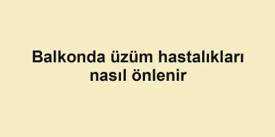 Balkonda üzüm hastalıkları nasıl önlenir