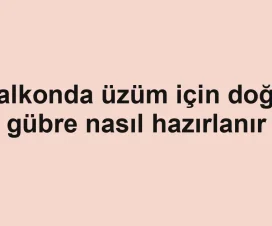Balkonda üzüm için doğal gübre nasıl hazırlanır