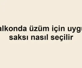 Balkonda üzüm için uygun saksı nasıl seçilir