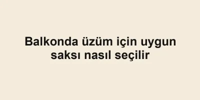 Balkonda üzüm için uygun saksı nasıl seçilir