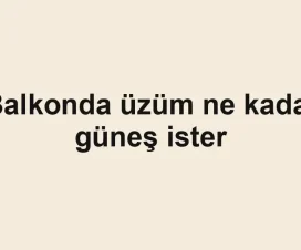 Balkonda üzüm ne kadar güneş ister
