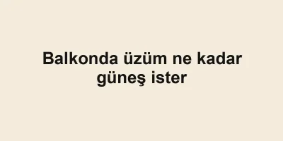 Balkonda üzüm ne kadar güneş ister