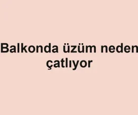Balkonda üzüm neden çatlıyor