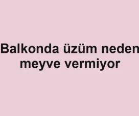 Balkonda üzüm neden meyve vermiyor