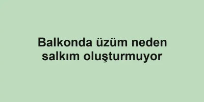 Balkonda üzüm neden salkım oluşturmuyor