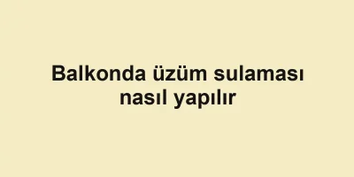 Balkonda üzüm sulaması nasıl yapılır