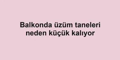 Balkonda üzüm taneleri neden küçük kalıyor