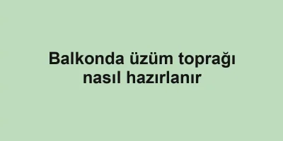 Balkonda üzüm toprağı nasıl hazırlanır