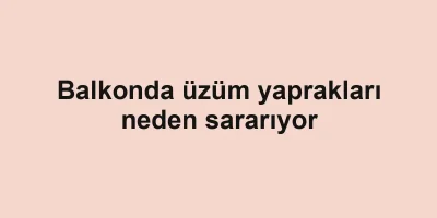 Balkonda üzüm yaprakları neden sararıyor