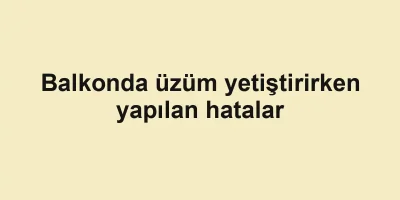 Balkonda üzüm yetiştirirken yapılan hatalar