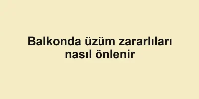 Balkonda üzüm zararlıları nasıl önlenir