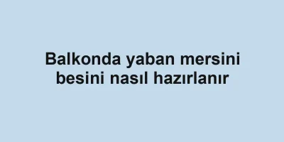 Balkonda yaban mersini besini nasıl hazırlanır