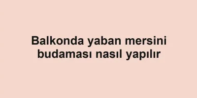 Balkonda yaban mersini budaması nasıl yapılır