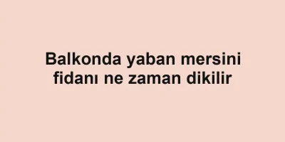 Balkonda yaban mersini fidanı ne zaman dikilir