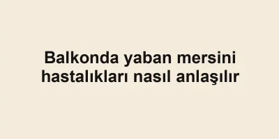 Balkonda yaban mersini hastalıkları nasıl anlaşılır