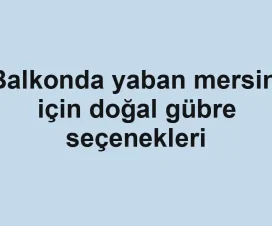Balkonda yaban mersini için doğal gübre seçenekleri