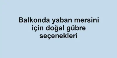 Balkonda yaban mersini için doğal gübre seçenekleri
